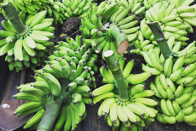 Kualoa Ranch - Kualoa Grown Tour - How three hours fits into an Oahu day