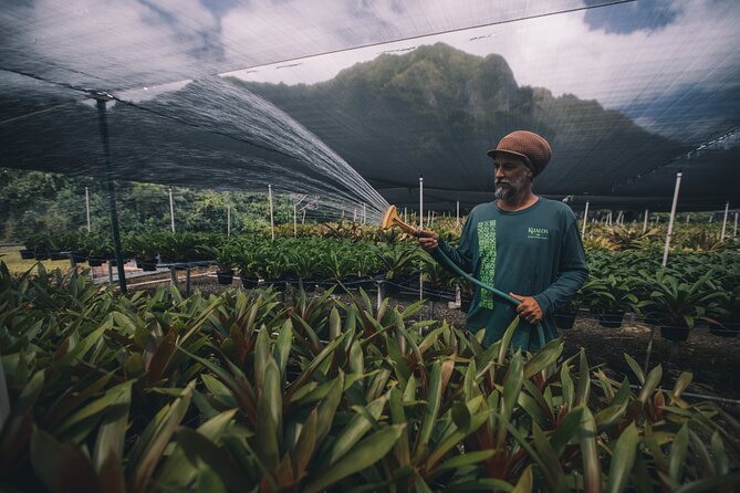 Kualoa Ranch - Kualoa Grown Tour - Is $67.24 a fair price?