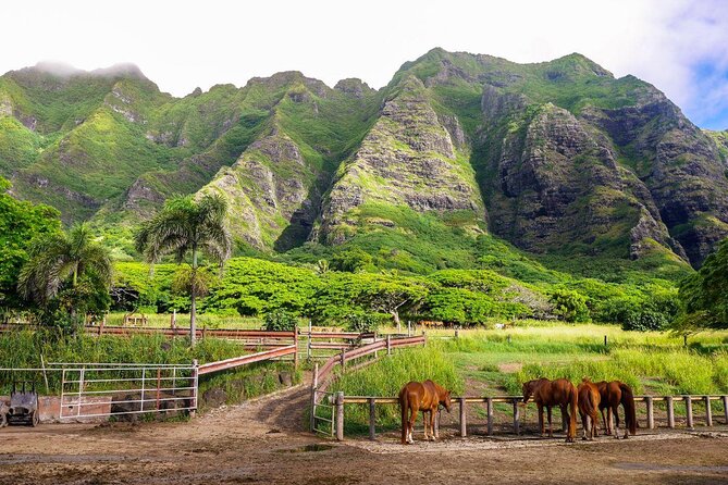 Kualoa Ranch: Novice E-Bike - Key points before you book