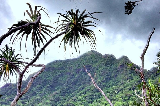 Kualoa Ranch: Novice E-Bike - Is $140.15 a fair price?