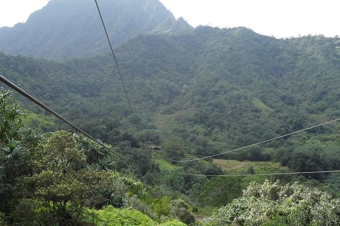 Kualoa Ranch - Zipline Tour - Is $224.30 a fair price?