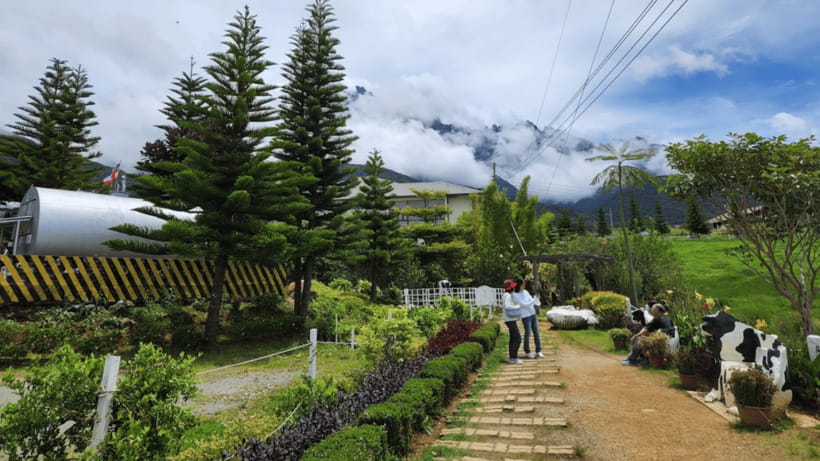 Kundasang: Day Tour with Desa Dairy Farm and Alpaca Club - Seeing a working farm at Desa Dairy Farm