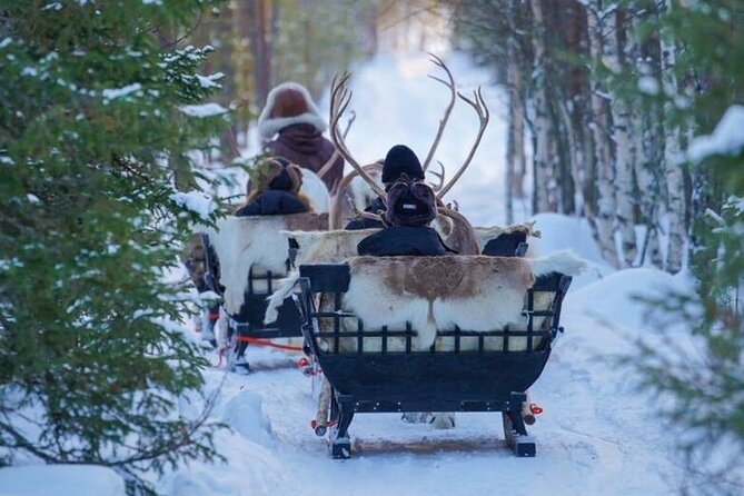 Kuoksa Reindeer Farm Visit with a Short Sleigh Ride - Starting in Rovaniemi with pickup or a central meeting point