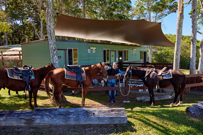 Kuranda 60 minute Horse Trail Ride and Petting Farm - What the 60-minute trail includes