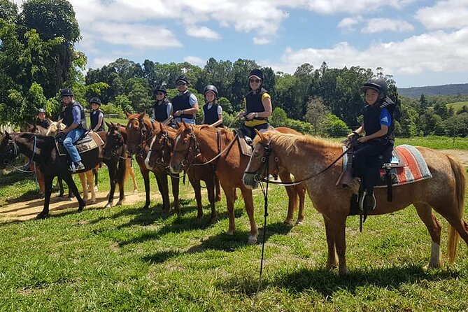 Kuranda 60 minute Horse Trail Ride and Petting Farm - Arriving at 112 Barnwell Road