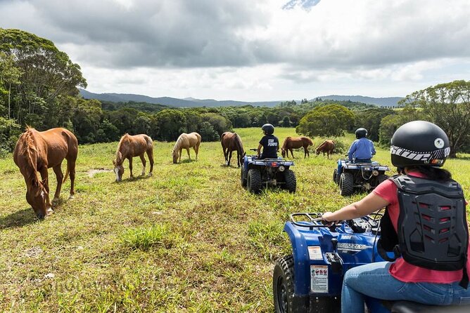 Kuranda 60 minute Quad Bike Experience and Petting Farm - Staff support and the human side of the visit