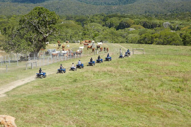 Kuranda 60 minute Quad Bike Experience and Petting Farm - Weather, clothing, and what to plan