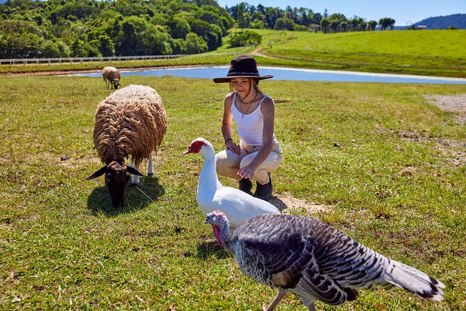 Kuranda 60 minute Quad Bike Experience and Petting Farm - Booking and cancellation advice