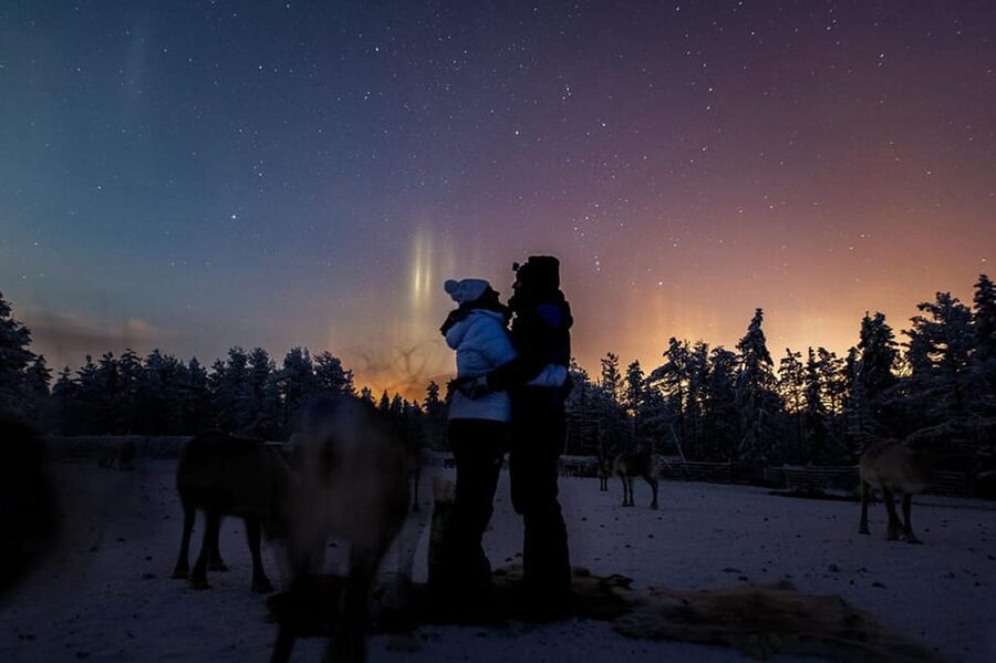 Kuusamo: Reindeer Farm Visit - Feeding the reindeer with lichen