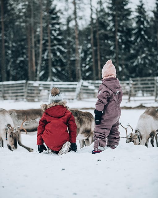 Kuusamo: Reindeer Farm Visit - What the $31 price delivers