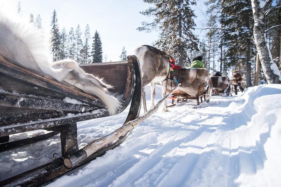 Kuusamo: Reindeer Sleigh Ride and Farm Visit - Starting at Kujala Reindeer Farm