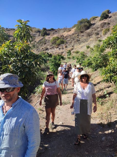 La Herradura Coffee Farm: tour in Europe's only plantation - Coffee plants, harvesting, and roasting