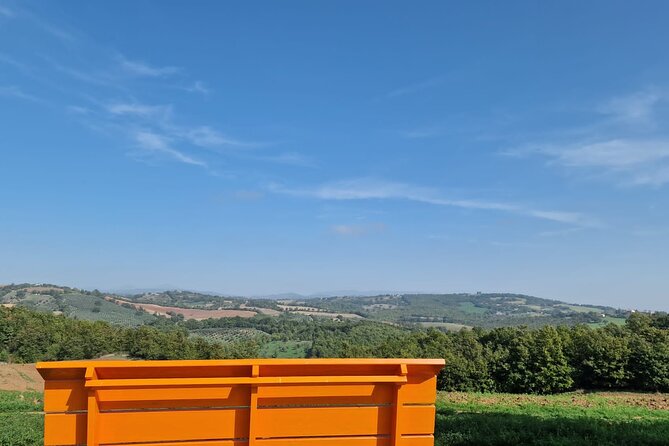 La Maliosa Farm Experience & Wine Tasting - Arriving at Fattoria La Maliosa near Saturnia