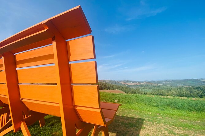 La Maliosa Farm Experience & Wine Tasting - The panoramic viewpoint and the value of slowing down