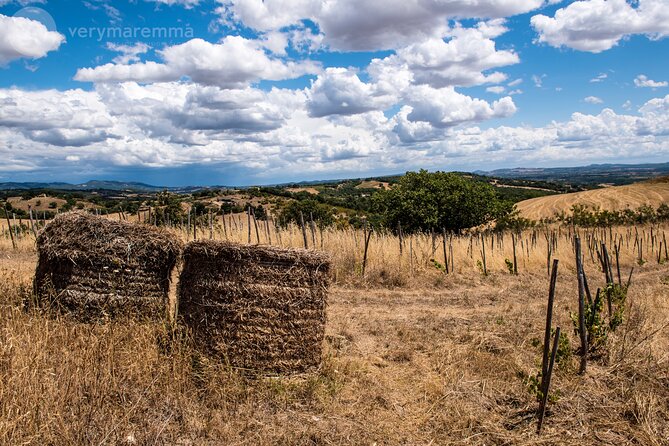 La Maliosa Farm Experience & Wine Tasting - Is $54.06 a fair price?