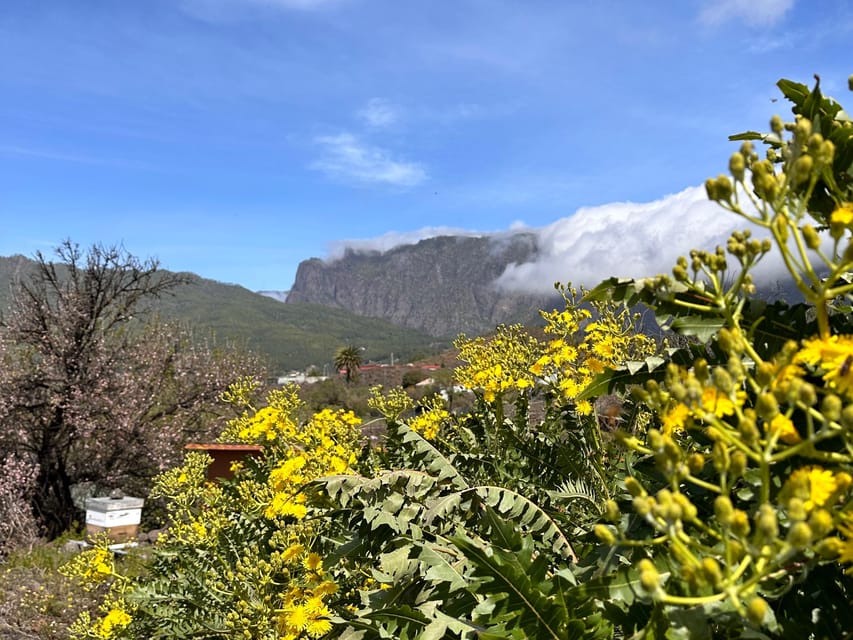 La Palma : Tour of an ecological farm w/ animals & tasting - The tasting takes about an hour
