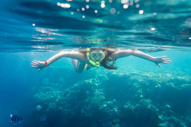 La Paz: Coral Farm Snorkel Tour - The Coral Talk Sets The Scene