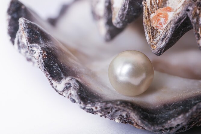 La Paz: Pearl Farm Experience and shop - Key points to know before booking