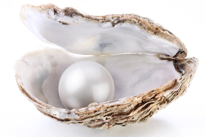 La Paz: Pearl Farm Experience and shop - Hearing the story from Ivan