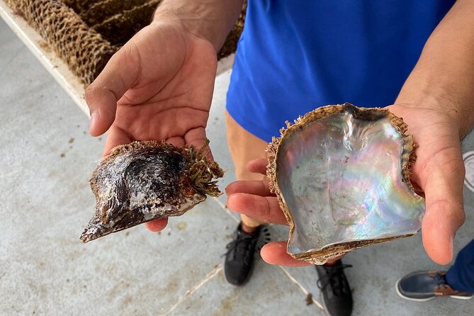 La Paz: Pearl Farm Experience and shop - Inside the laboratory