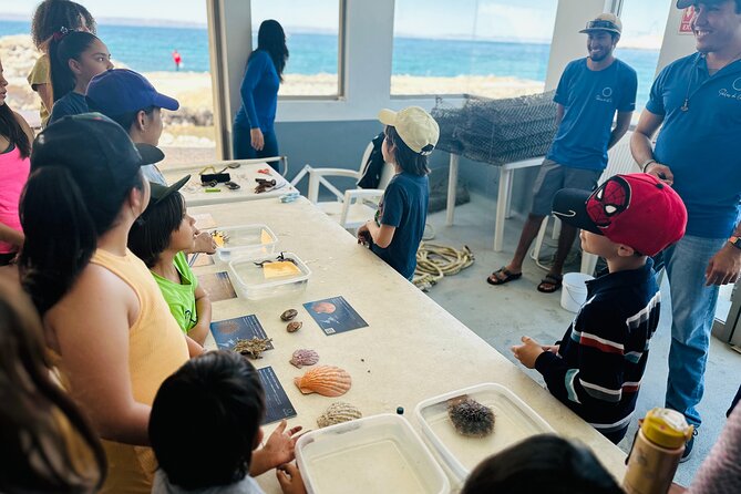 La Paz: Pearl Farm Experience and shop - Meeting living marine organisms