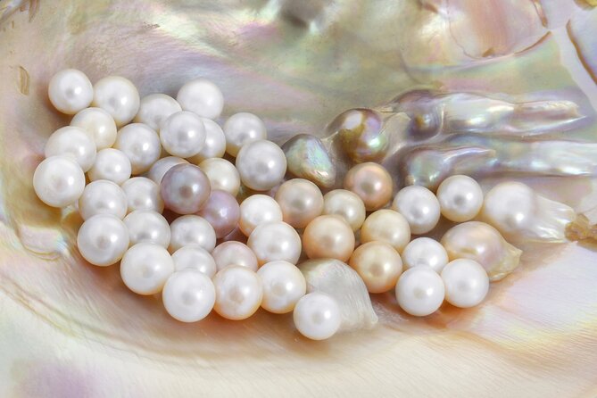 La Paz: Pearl Farm Experience and shop - Starting at Avenida Pichilingue