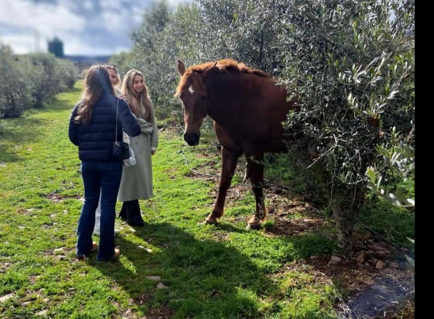 La Rioja: Jamon Iberico Farm Tour and Tasting with Wine - Who will enjoy this farm experience most?