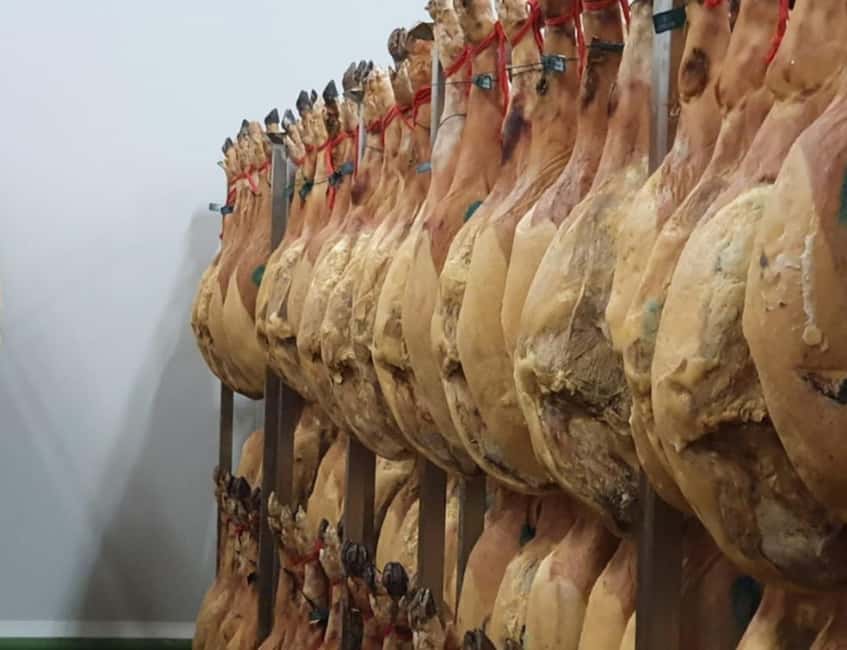 La Rioja: Jamon Iberico Farm Tour and Tasting with Wine - Walking through El Encinar with the piglets