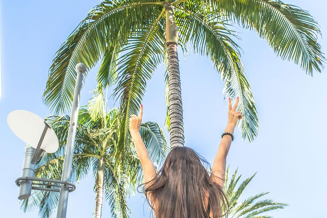 LA Tour: Downtown, Hollywood, Rodeo Drive, Farmer's Market - What this Los Angeles tour is really designed to do