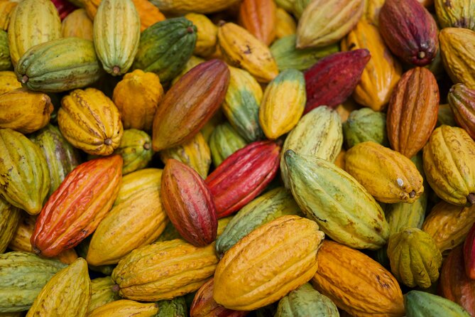 Lahaina: Maui Ku'ia Estate Guided Cacao Farm Tour and Tasting - Group size and the small-group promise