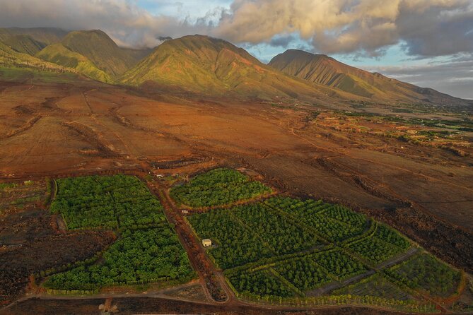 Lahaina: Maui Ku'ia Estate Guided Cacao Farm Tour and Tasting - Timing, transport, and practical planning
