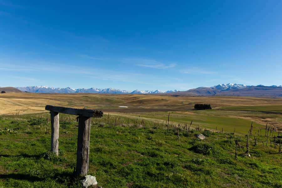 Lake Tekapo High Country Farm Tour (Carbon Positive) - Riding through Mackenzie farming country