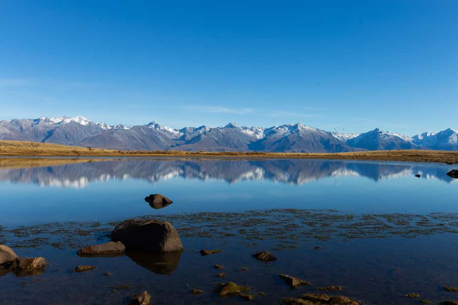 Lake Tekapo High Country Farm Tour (Carbon Positive) - Who will enjoy it most?