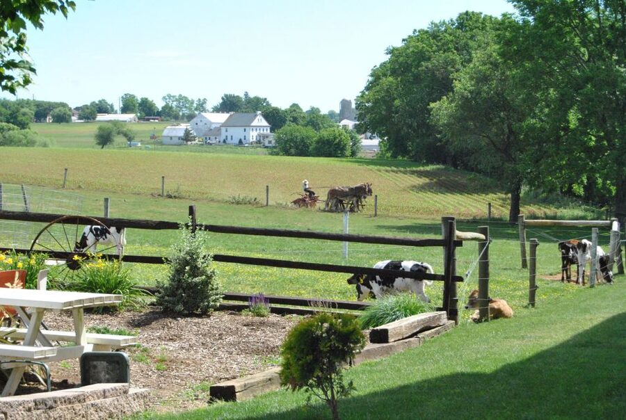 Lancaster: Amish Experience Visit-in-Person Tour 3 Stops - What makes this Amish tour different