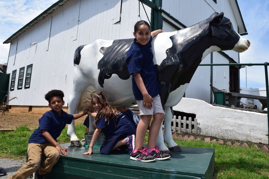 Lancaster County: Amish Farmlands, Museum Tour, Farm Visit - What the Lancaster Amish tour actually includes