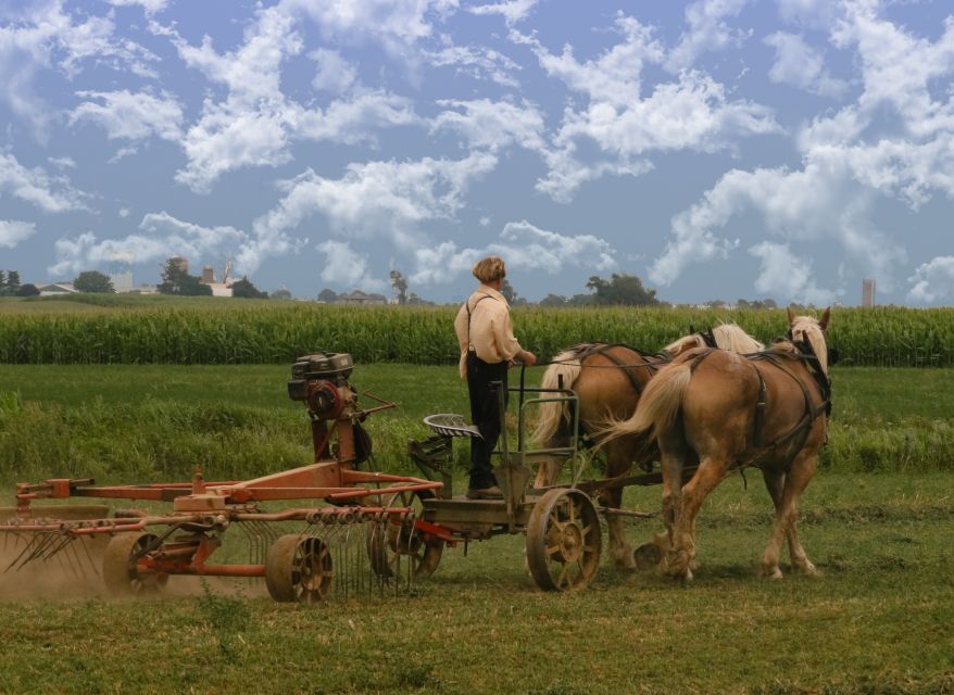 Lancaster County: Amish Farmlands, Museum Tour, Farm Visit - The 15-acre farm: animals, food, and an Amish schoolhouse