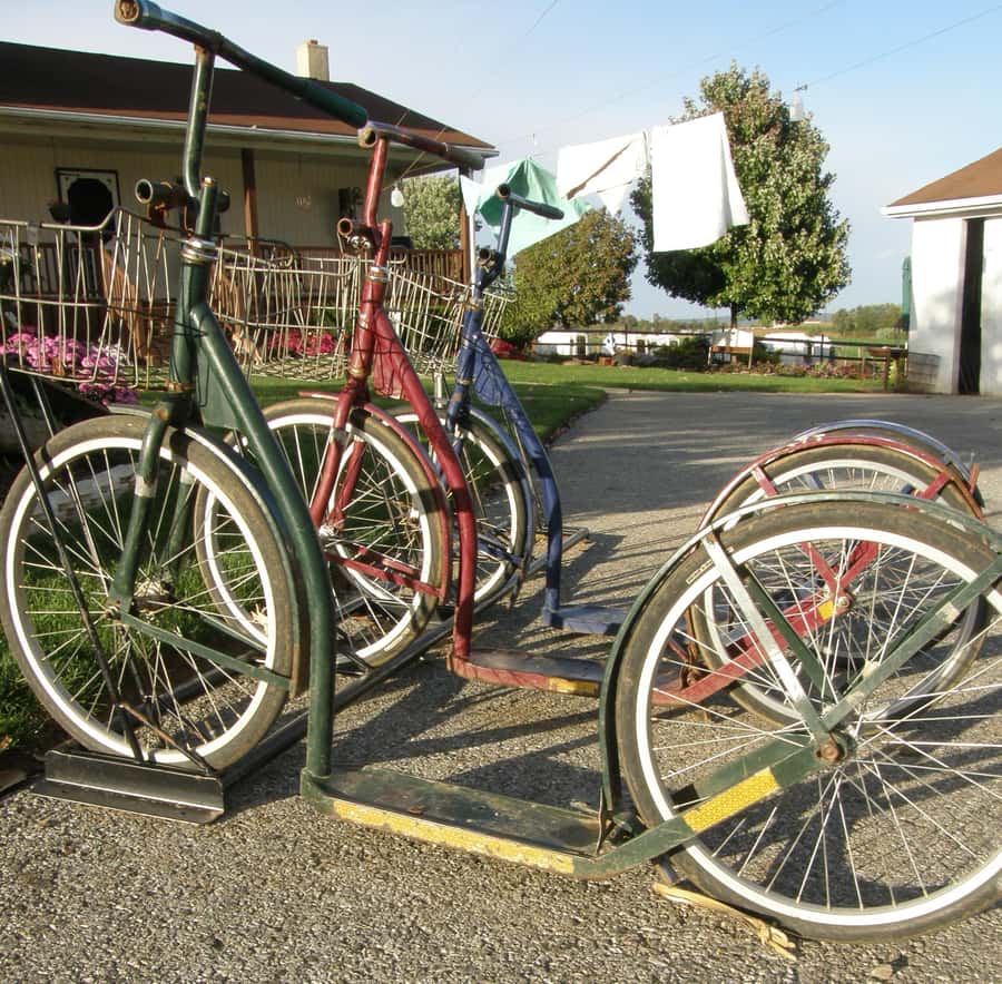 Lancaster County: Amish Farmlands Tour & Family-Style Dinner - What the $65 price really covers