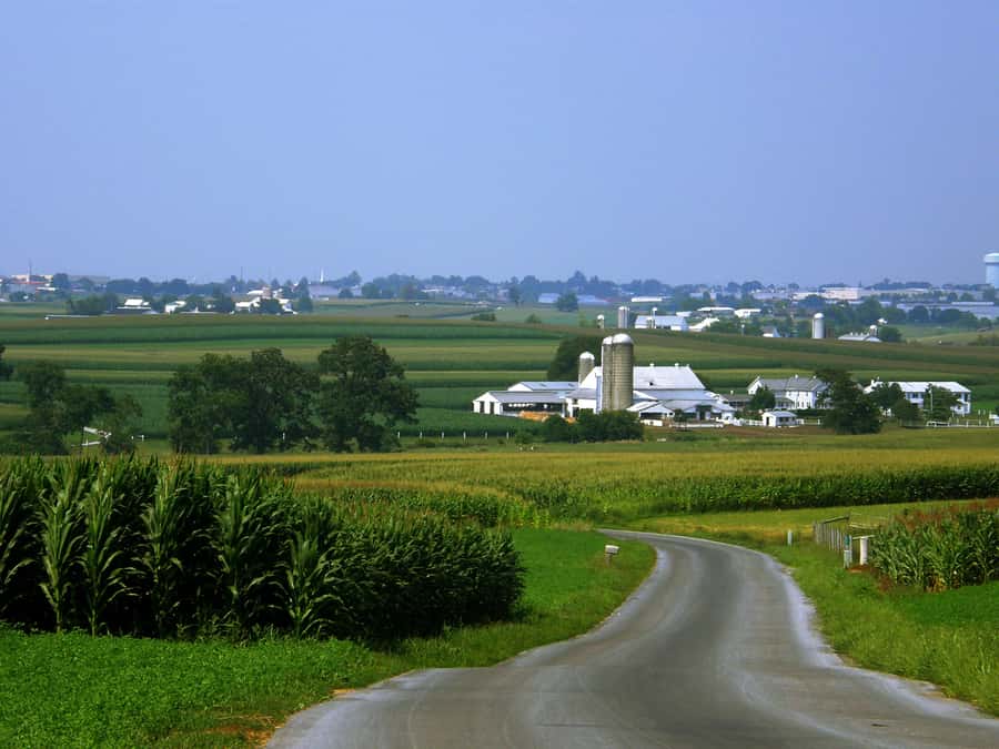 Lancaster County: Amish Farmlands Tour & Family-Style Dinner - What the home setting means for comfort