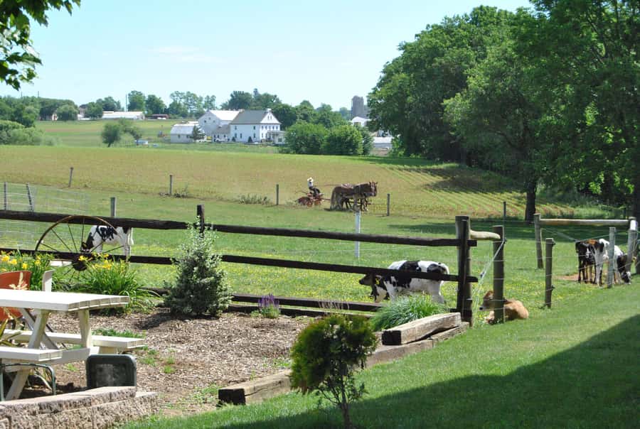Lancaster County: Amish Farmlands Tour & Family-Style Dinner - Starting at the Amish Experience in Bird-in-Hand