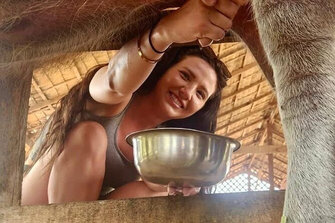 Laos Buffalo Dairy Tours Interact, Learn and Taste Fresh Flavors - The farm café and buffalo ice cream