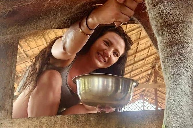 Laos Buffalo Dairy Tours Interact, Learn and Taste Fresh Flavors - Is $14 a fair price?
