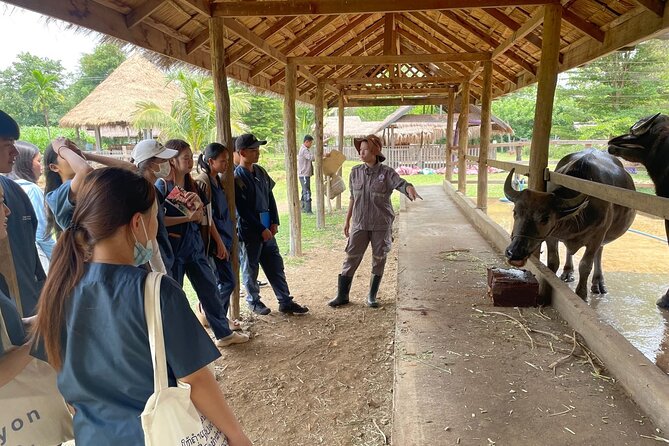 Laos Buffalo Dairy Tours Interact, Learn and Taste Fresh Flavors - Who will enjoy this experience most?