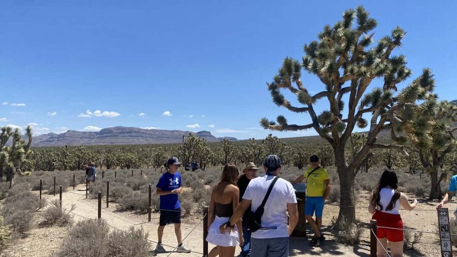 Las Vegas: Grand Canyon Helicopter & Ranch Adventure by Bus - Why this Grand Canyon day trip works