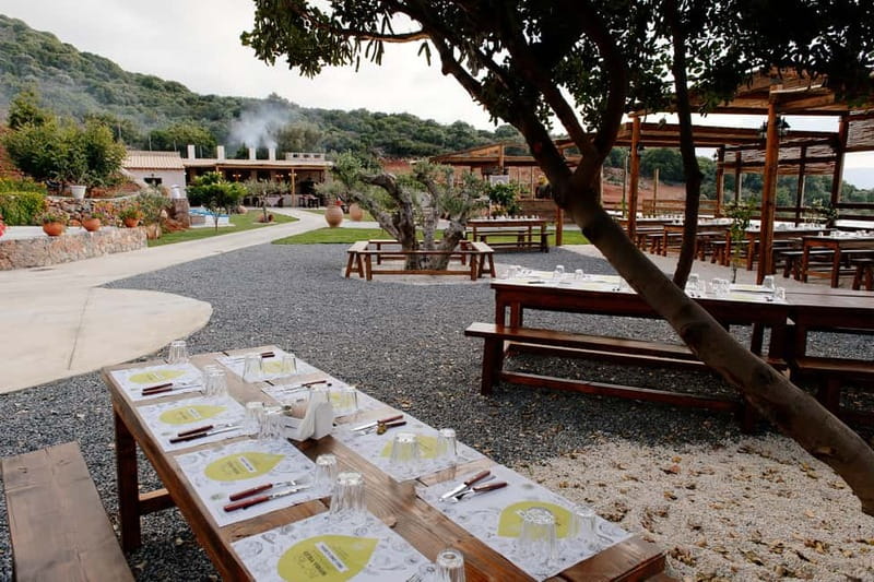 Lassithi, Zeus Cave, Olive Mill Farm & Knossos Combo Tour - The olive farm combines food, shopping, and local production