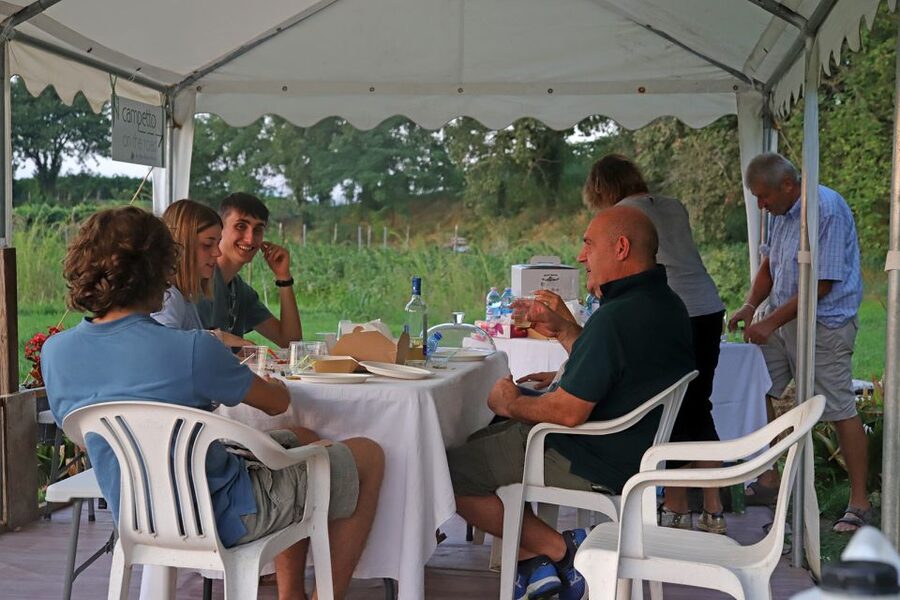 Lazise: Beekeeping Farm Tour and Tasting Experience - Who will enjoy this most?