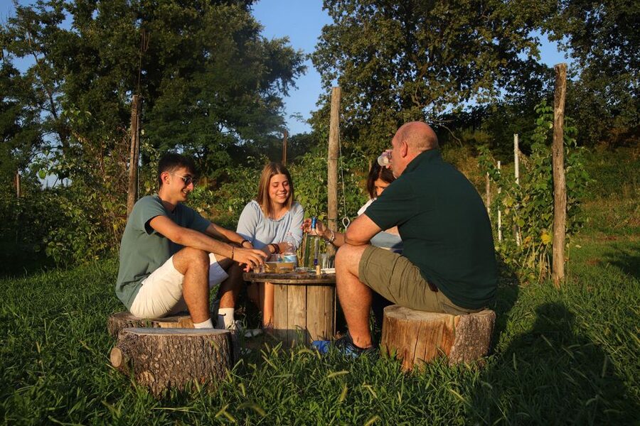 Lazise: Beekeeping Farm Tour and Tasting Experience - Reaching the farm in Colà di Lazise