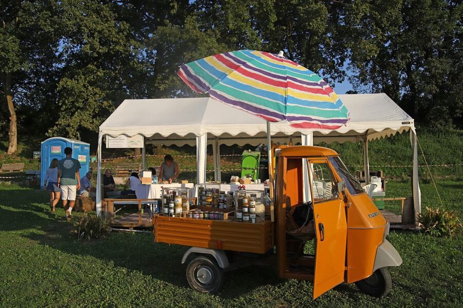 Lazise: Beekeeping Farm Tour and Tasting Experience - From hive to jar: why three honeys matter