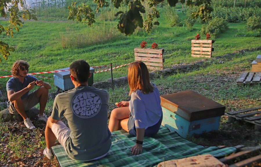 Lazise: Beekeeping Farm Tour and Tasting Experience - Cheese, bread, pesto, and a glass of Garda-area wine