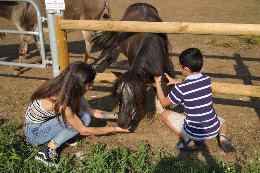 Lazise: Biodynamic Farm Tour and Natural Wine Tasting - Key points to know before you book
