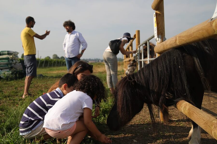 Lazise: Biodynamic Farm Tour and Natural Wine Tasting - Who will enjoy this farm experience?